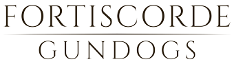Gundog Training in Worcestershire & West Midlands | Fortiscorde Gundogs